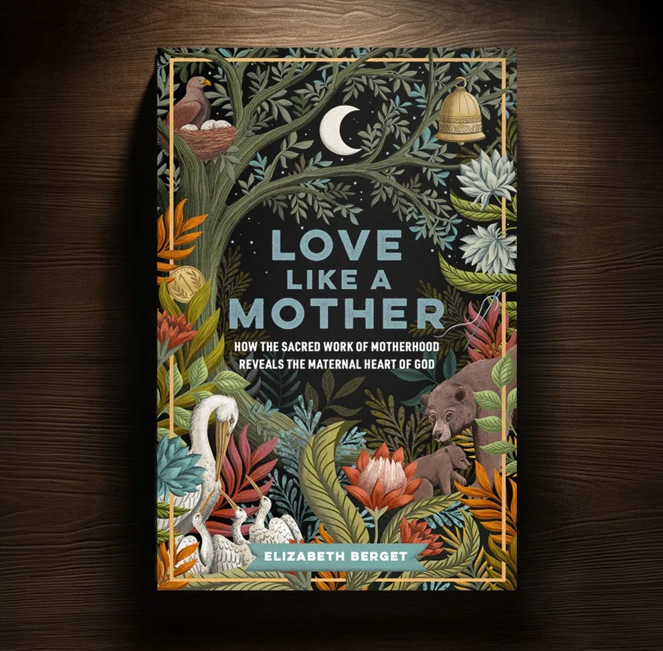 Cover — Wood Background